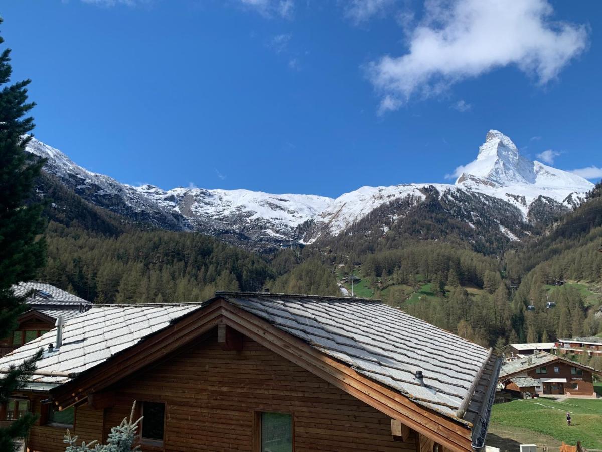 Matterhorn Panorama Apartment Zermatt Exteriör bild